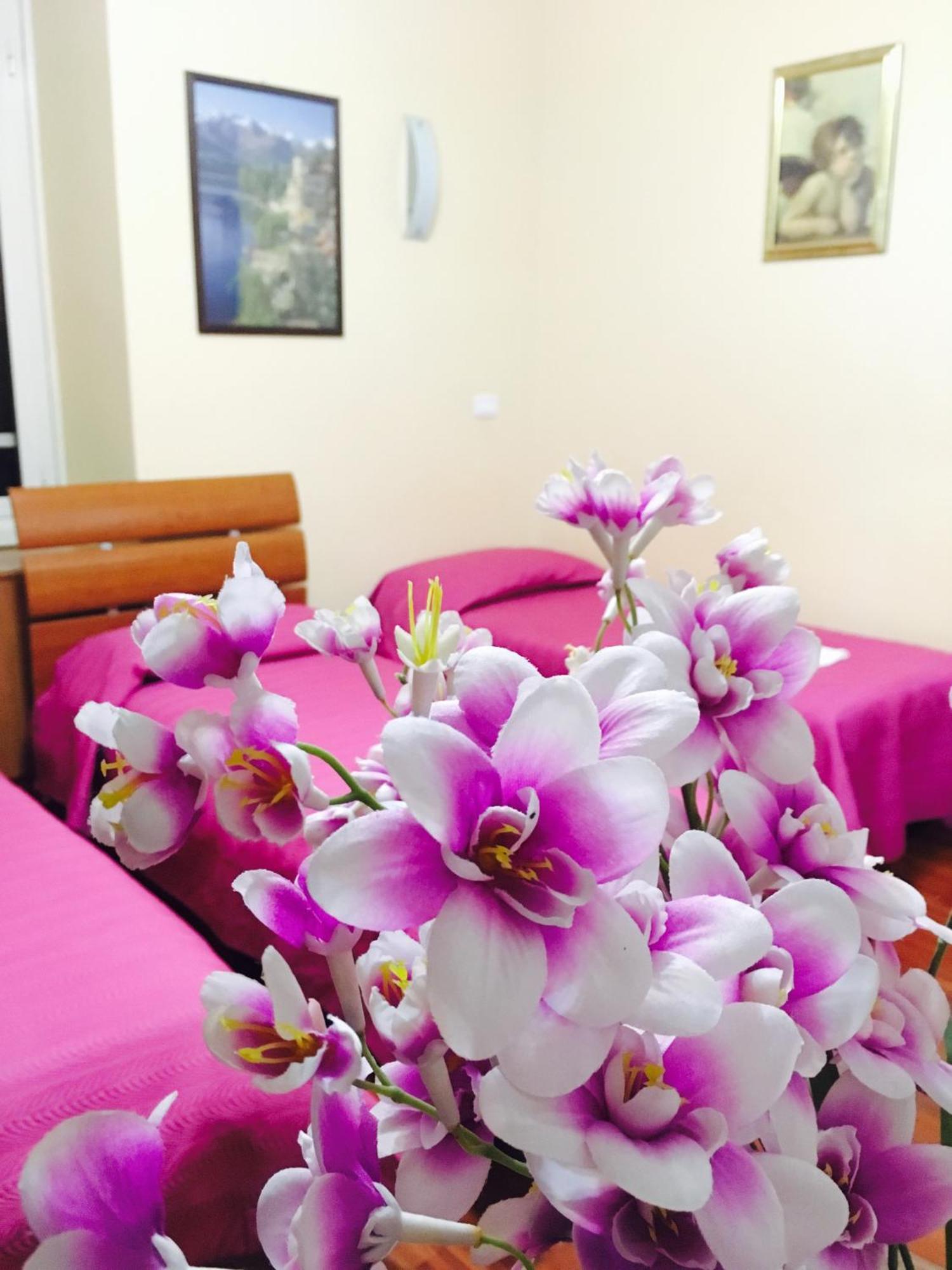 Zhihua Guest House روما المظهر الخارجي الصورة
